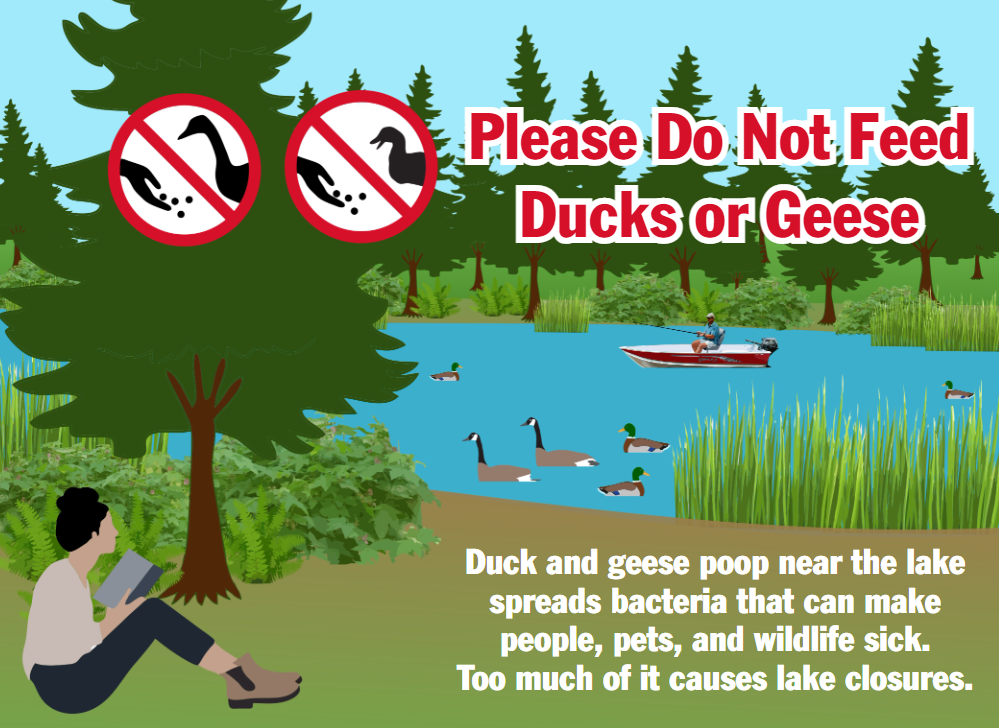 Do not feed waterfowl postcard