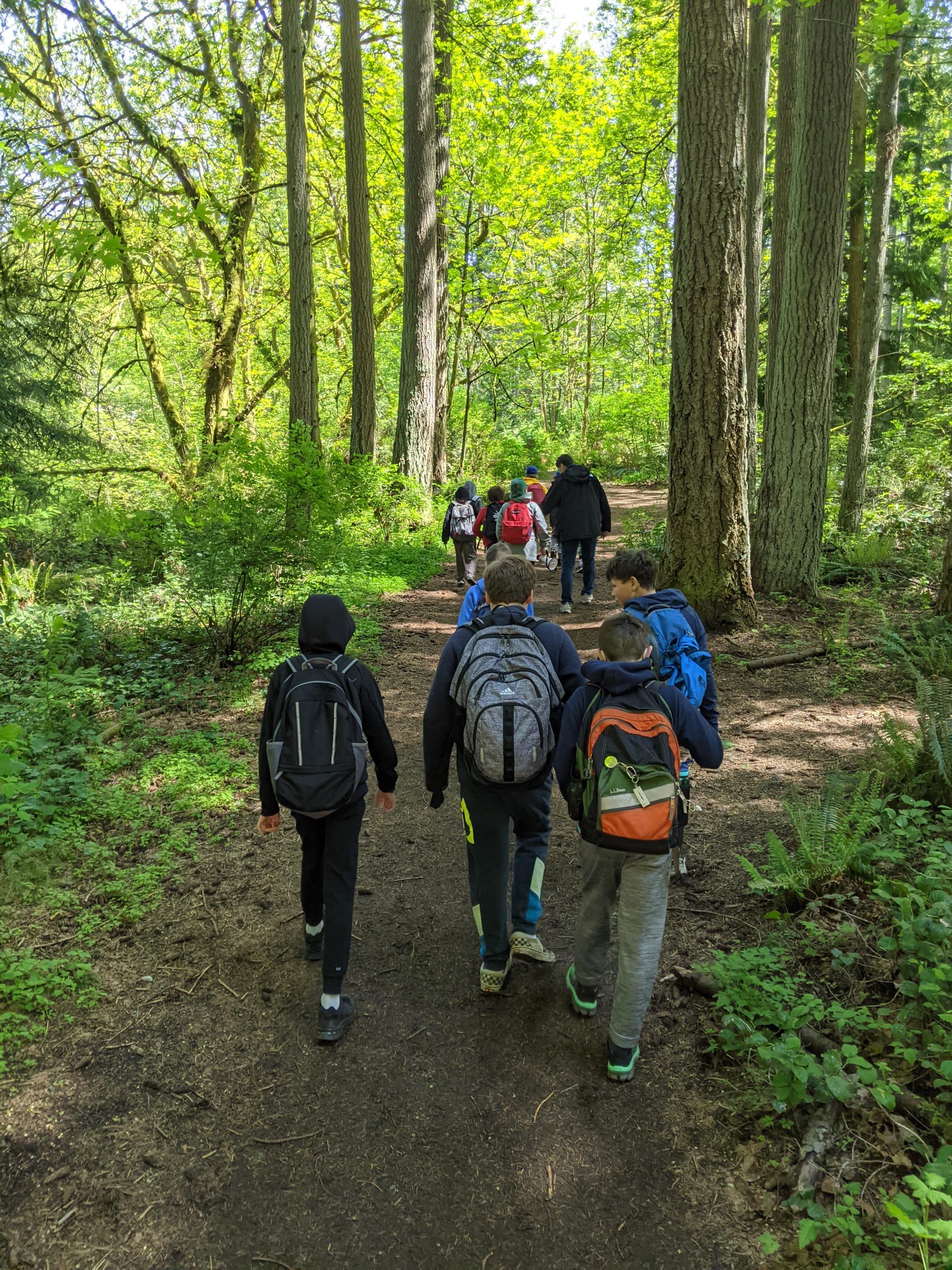 Students on a field trip walking through the trees at Boeing Creek Park.