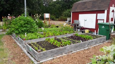 Garden beds at the Twin Ponds Community Garden.