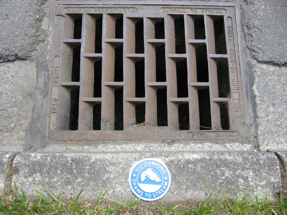 Drain with medallion