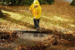 Storm Drain Clearing Seattle Post-Intelligencer Joshua Trujillo