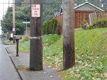 Image showeing utility pole in the middle of the sidewalk.