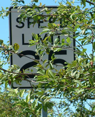 TreeBlockingSign