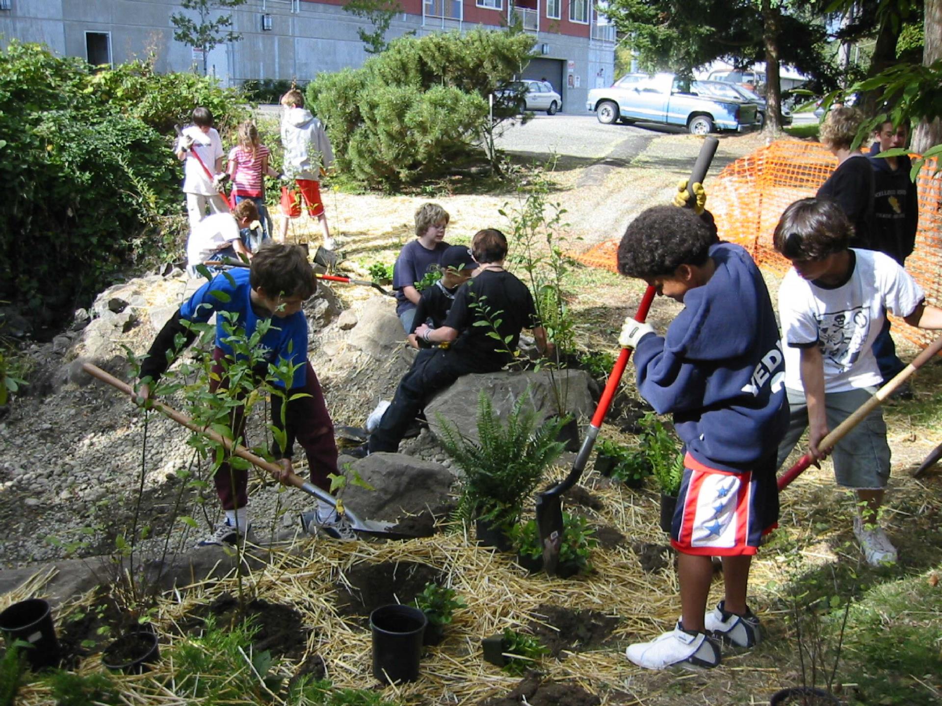 Kids planting trees