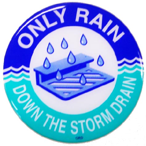 onlyraindownthestormdrain